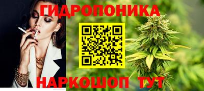 гашиш Аша