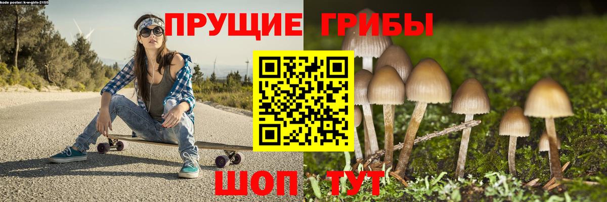 Галлюциногенные грибы GOLDEN TEACHER Белореченск